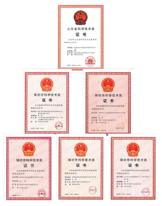 [good news] Longgang silicon Co., Ltd. won the first prize of Weifang Science and Technology Progress Award！
