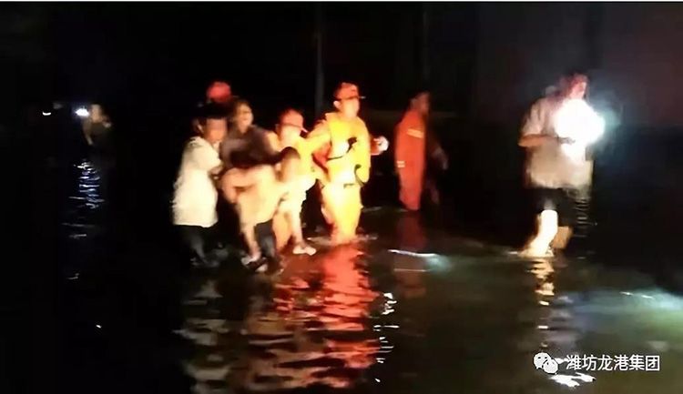 弘揚正能量——龍港集團員工見義勇為事跡！