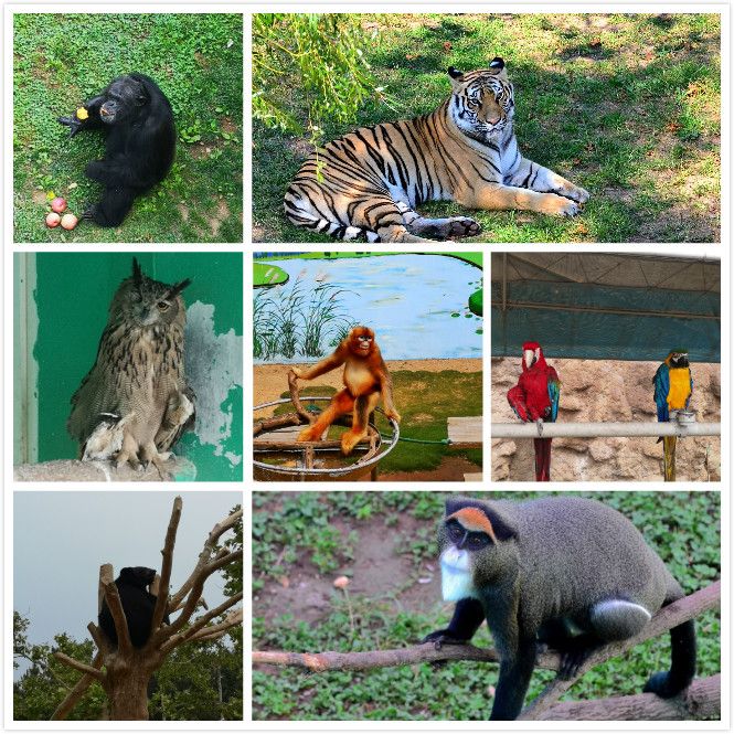 重溫歷史、不忘初心，走進自然、愛護環(huán)境——2019年龍港集團員工福利旅游活動成功開展！