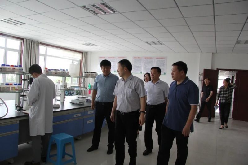 人才強(qiáng)企新高地：中國(guó)工程院王玉忠院士與龍港集團(tuán)簽訂合作協(xié)議