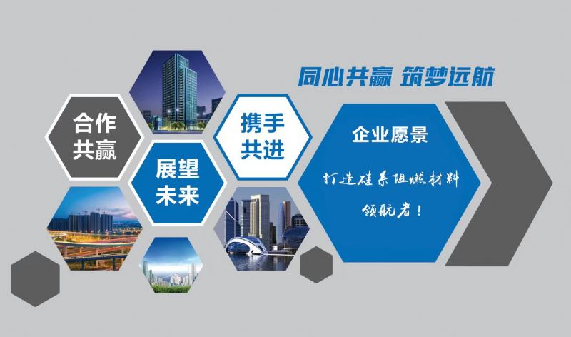 喜報(bào)｜龍港硅業(yè)又獲一項(xiàng)省級(jí)“硬核”獎(jiǎng)！